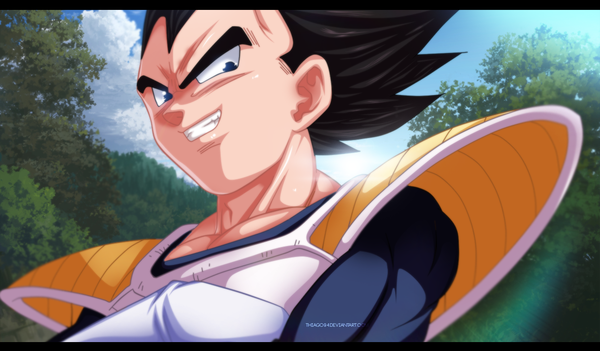 Anime picture 1210x709 with dragon ball dragon ball z vegeta krizqlid single short hair blue eyes black hair smile wide image sky cloud (clouds) sunlight grin coloring plant (plants) tree (trees) armor