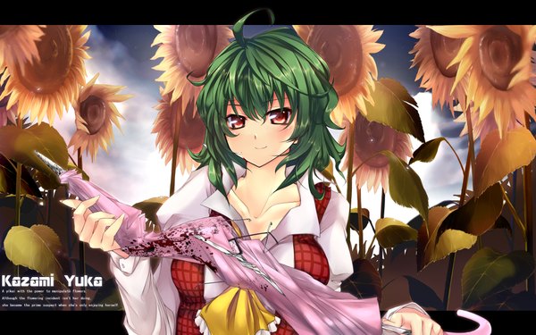 Anime picture 2014x1259 with touhou kazami yuuka uzuki aoki highres short hair red eyes wide image ahoge green hair girl flower (flowers) umbrella sunflower