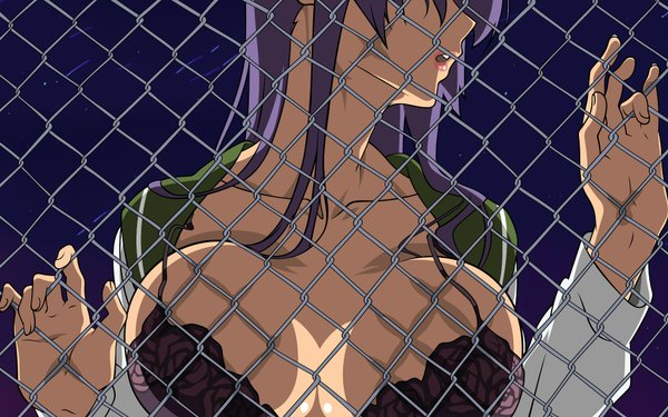Anime picture 1920x1200 with highschool of the dead madhouse busujima saeko single highres breasts open mouth light erotic wide image purple hair night open clothes open shirt huge breasts breast press girl lingerie bra purple bra