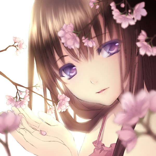 Anime picture 1000x1000 with original nana mikoto single long hair looking at viewer blush brown hair purple eyes bare shoulders parted lips cherry blossoms face girl flower (flowers) petals branch hands