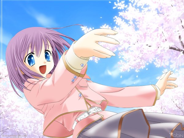Anime picture 1600x1200 with canvas (anime) tachibana amane single fringe short hair open mouth blue eyes looking away sky purple hair long sleeves cherry blossoms happy girl skirt belt