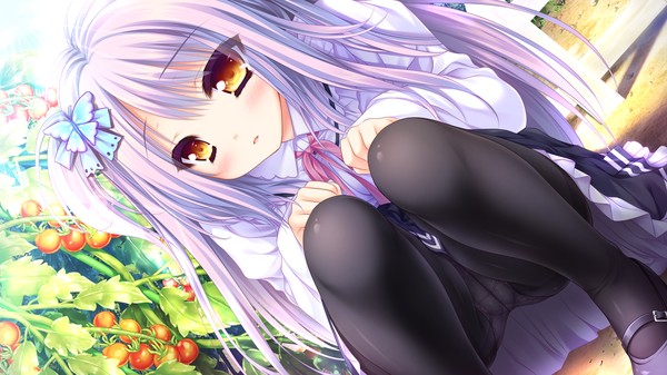 Anime picture 1280x720 with tayutama 2 saijou hifumi single long hair blush light erotic wide image looking away game cg purple hair orange eyes pantyshot girl hair ornament underwear panties pantyhose black pantyhose vegetables panties under pantyhose