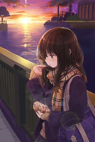 Anime picture 600x900 with original niichi (komorebi-palette) single long hair tall image blush black hair brown eyes sky cloud (clouds) evening sunset girl jacket scarf school bag