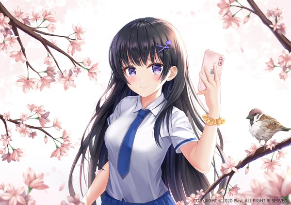 Anime picture 3812x2696 with original bnari single long hair looking at viewer blush fringe highres blue eyes black hair smile holding payot absurdres upper body text cherry blossoms english wrist scrunchie 2020