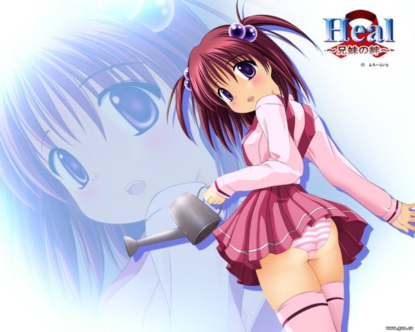 Anime picture 1280x1024 with looking at viewer blush light erotic purple eyes pink hair long sleeves from behind two side up wind lift girl thighhighs uniform hair ornament underwear panties school uniform striped panties hair bobbles watering can