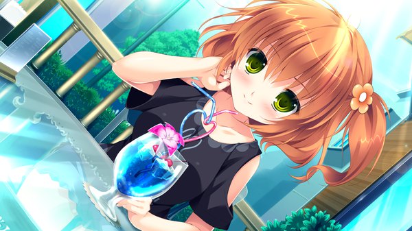 Anime picture 1280x720 with hime-sama love life! misawa chisa mikeou single looking at viewer blush short hair smile wide image green eyes game cg orange hair one side up girl hair ornament flower (flowers) drink drinking straw cocktail
