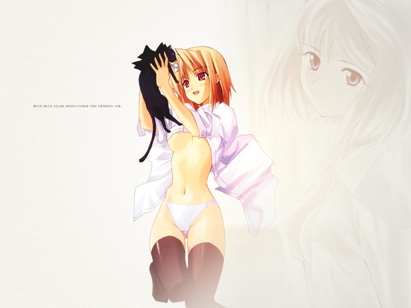 Anime picture 1280x960 with shingetsutan tsukihime type-moon arcueid brunestud len (tsukihime) len (cat) light erotic girl cat