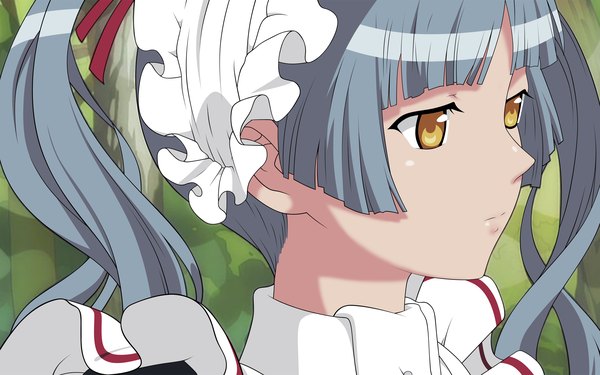 Anime picture 2560x1600 with maria holic shaft (studio) shinouji matsurika highres wide image maid close-up vector