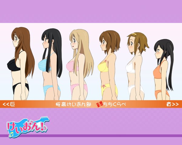 Anime picture 1280x1024 with k-on! kyoto animation akiyama mio hirasawa yui nakano azusa kotobuki tsumugi tainaka ritsu yamanaka sawako breasts light erotic multiple girls underwear only 6+ girls 6 girls chart bust chart girl underwear