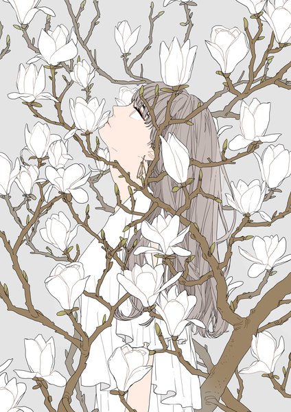 Аниме картинка 2893x4092 с оригинальное изображение kko (um7mr) один (одна) длинные волосы высокое изображение высокое разрешение верхняя часть тела профиль серые волосы серые глаза смотрит вверх девушка платье цветок (цветы) белое платье ветка магнолия
