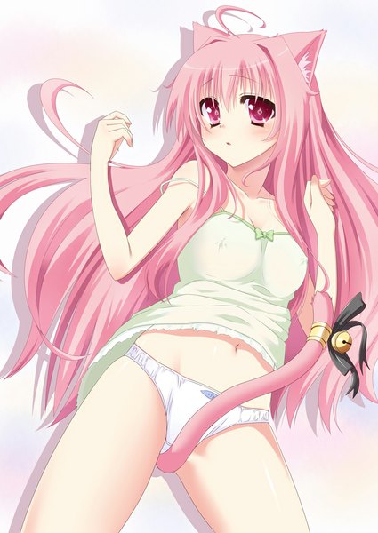 Anime picture 724x1023 with original taletale single long hair tall image blush light erotic simple background white background animal ears pink hair tail animal tail pink eyes cat ears cat girl cat tail erect nipples covered nipples girl
