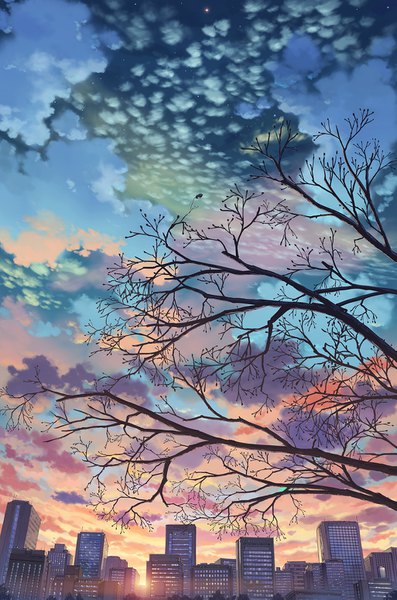 Anime picture 1025x1549 with original hotaka tall image sky cloud (clouds) city cityscape bare tree morning sunrise plant (plants) tree (trees) building (buildings) sun