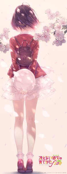 Anime picture 1200x3085 with saenai heroine no sodatekata a-1 pictures katou megumi misaki kurehito single tall image short hair brown hair standing holding full body wind from behind official art copyright name cherry blossoms light hat removed headwear removed logo