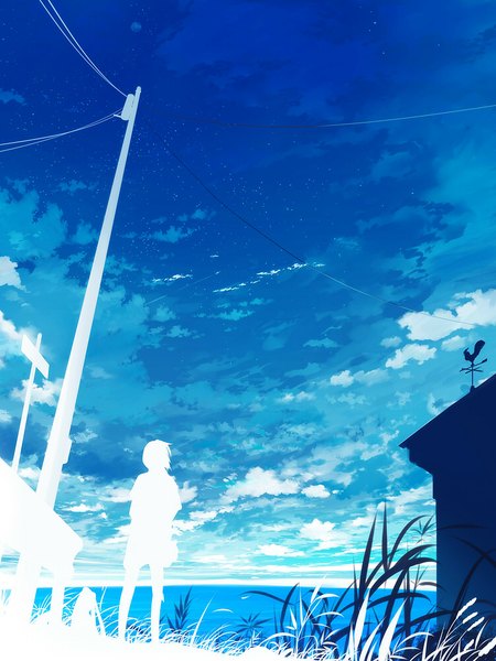 Anime picture 750x1000 with original 108 tall image sky cloud (clouds) wind silhouette plant (plants) water sea grass wire (wires) house weather vane