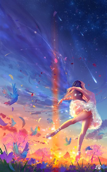 Anime picture 850x1360 with original mikan (artist) long hair tall image black hair standing signed cloud (clouds) sunlight night sparkle night sky evening standing on one leg reflection sunset spread arms mountain bare back flying