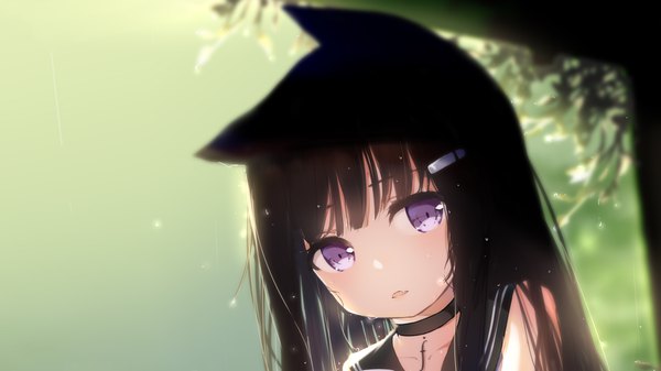 Anime picture 1919x1079 with original fufumi single long hair looking at viewer fringe highres open mouth black hair wide image purple eyes animal ears outdoors head tilt sunlight cat ears wet fang (fangs) depth of field sleeveless