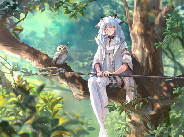 Anime picture 1920x1425 with arknights ptilopsis (arknights) achyue single long hair looking at viewer highres sitting yellow eyes silver hair outdoors head tilt crossed legs tree sitting elite ii (arknights) girl thighhighs plant (plants) animal white thighhighs