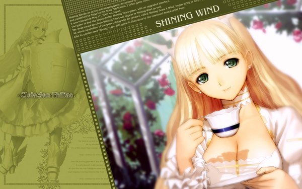 Anime picture 1920x1200 with shining (series) shining wind clalaclan philias tony taka highres light erotic blonde hair wide image cleavage girl dress