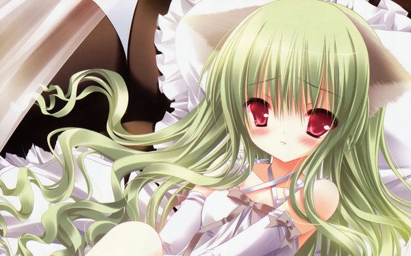 Anime picture 1920x1200 with tinker bell highres wide image cat girl girl