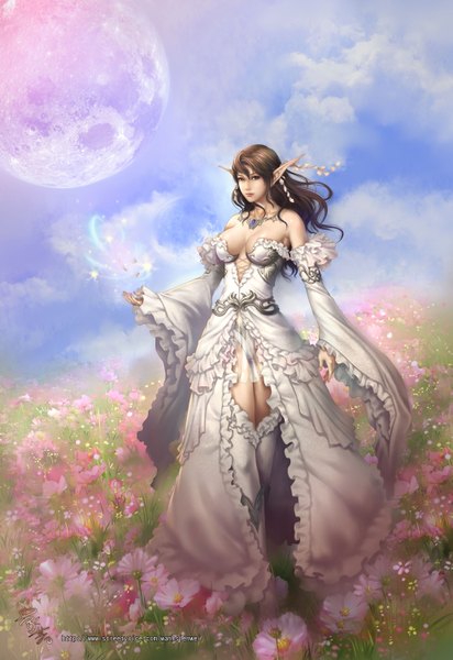 Anime picture 2061x3000 with lineage (game) wanhsienwei single tall image highres breasts blue eyes light erotic brown hair bare shoulders signed cleavage pointy ears realistic girl hair ornament flower (flowers) detached sleeves boots frills