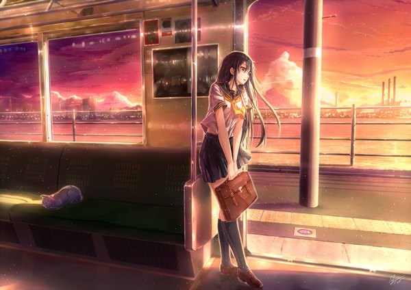 Anime picture 2046x1446 with original kazeno single long hair highres black hair standing brown eyes signed looking away cloud (clouds) full body evening sunset train interior girl skirt uniform miniskirt animal