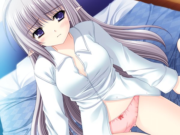 Anime picture 1024x768 with shuffle! primula single long hair blush light erotic purple eyes game cg pointy ears grey hair girl underwear panties
