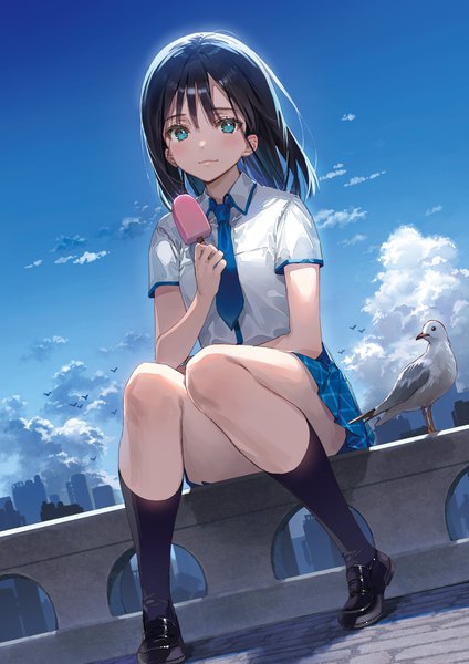 Anime picture 2896x4096 with original dsmile single long hair tall image looking at viewer blush fringe highres blue eyes black hair smile hair between eyes sitting holding sky cloud (clouds) full body outdoors short sleeves