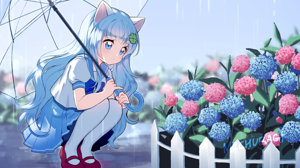 Anime picture 1280x720 with original mechuragi single long hair blush fringe blue eyes wide image holding signed animal ears blue hair looking away full body outdoors blunt bangs pleated skirt cat ears rain transparent umbrella