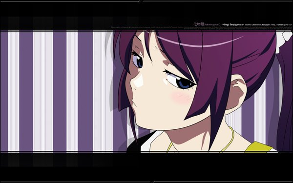Anime picture 1920x1200 with bakemonogatari shaft (studio) monogatari (series) senjougahara hitagi blush highres wide image girl