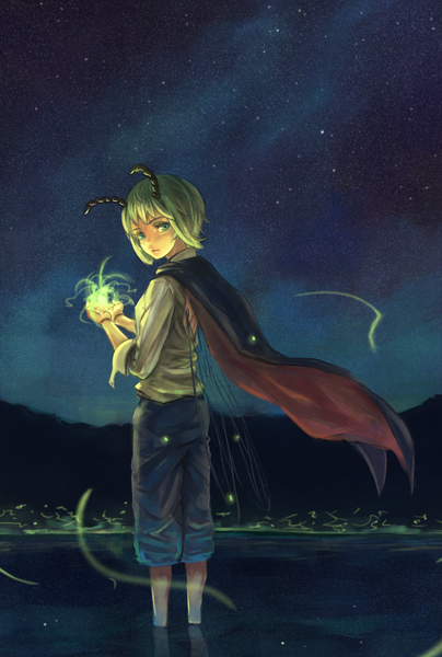 Anime picture 1009x1500 with touhou wriggle nightbug potionu single tall image looking at viewer short hair green eyes green hair night night sky glowing girl wings water insect cape fireflies
