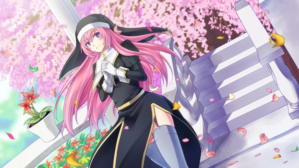 Anime picture 2000x1125 with original asausagi single long hair highres blue eyes wide image pink hair cherry blossoms nun girl thighhighs gloves flower (flowers) petals
