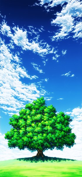 Anime picture 934x2000 with original aoha (twintail) tall image sky cloud (clouds) sunlight shadow no people landscape plant (plants) tree (trees) grass