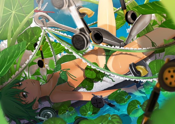 Anime picture 2480x1753 with original mashiro akira (artist) highres short hair light erotic green eyes green hair girl swimsuit plant (plants) bikini phone anchor dragonfly mashiro teru