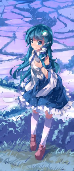 Anime picture 654x1500 with touhou kochiya sanae huanxiang huifeng single long hair tall image looking at viewer blush fringe blue eyes standing holding blue hair girl skirt plant (plants) detached sleeves socks bracelet grass
