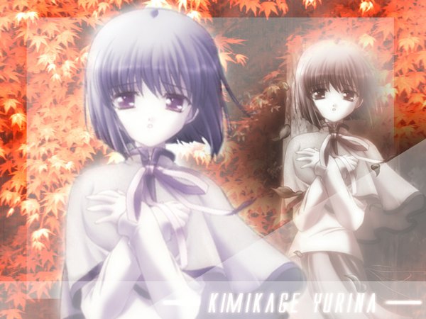 Anime picture 1024x768 with canvas (anime) kimikage yurina single looking at viewer short hair purple eyes purple hair character names zoom layer girl leaf (leaves) autumn leaves
