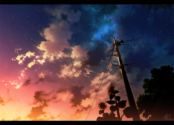 Anime picture 1081x779 with original mocha (cotton) sky outdoors from below letterboxed milky way twilight flower (flowers) plant (plants) tree (trees) star (stars) sunflower power lines