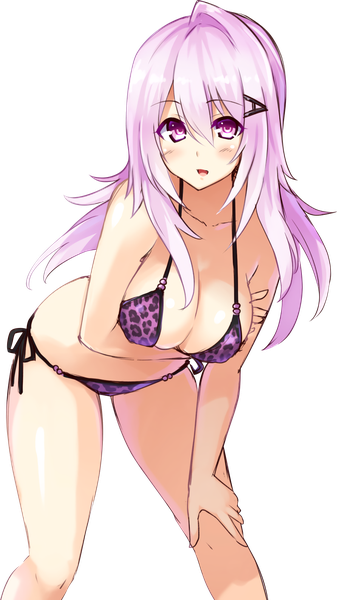 Anime picture 892x1586 with cu-no yayoi sakura hisenkaede single long hair tall image looking at viewer blush fringe breasts light erotic hair between eyes large breasts standing purple eyes purple hair leaning leaning forward transparent background animal print