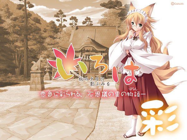 Anime picture 1600x1200 with highres animal ears tail japanese clothes fox ears fox tail miko shrine iroha aki no yuuhi ni kage fumi wo