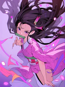 Anime picture 2413x3218