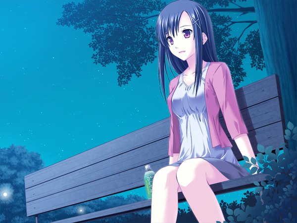 Anime picture 1200x900 with purple eyes blue hair game cg girl plant (plants) tree (trees) drink bench
