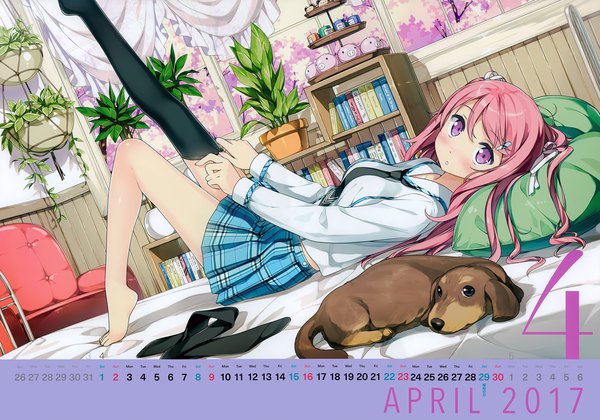 Anime picture 7024x4923 with original kurumi (kantoku) kantoku single long hair looking at viewer blush highres purple eyes pink hair absurdres lying scan official art two side up calendar 2017 girl thighhighs skirt black thighhighs