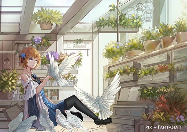 Anime picture 900x634 with original pixiv fantasia pixiv fantasia t cang tong single short hair blue eyes blonde hair sitting bare shoulders bent knee (knees) indoors hair flower sunlight copyright name outstretched arm bird on hand girl dress hair ornament