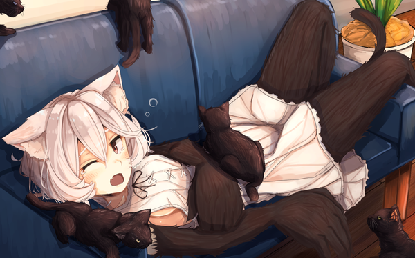 Anime picture 2000x1247 with original plan (planhaplalan) single looking at viewer blush fringe highres short hair breasts open mouth hair between eyes red eyes wide image animal ears white hair indoors tail lying animal tail from above