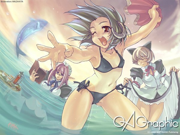 Anime picture 1024x768 with gagraphic wazakita light erotic horn (horns) maid wallpaper skirt lift girl skirt swimsuit bikini water book (books) fish (fishes)