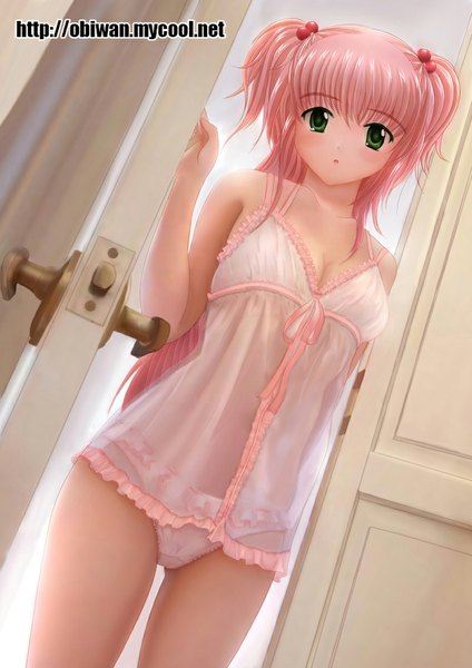 Anime picture 801x1133 with original obiwan single long hair tall image looking at viewer blush light erotic green eyes pink hair underwear only girl hair ornament underwear panties hair tie hair bobbles door
