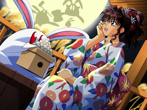 Anime picture 1024x768 with private garden tetratech shimamura natsumi japanese clothes kimono bunny
