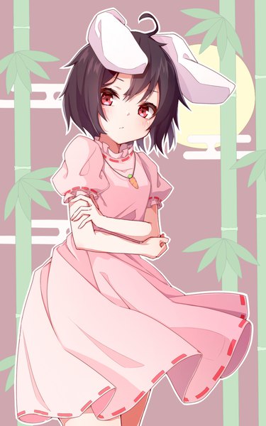Anime picture 1000x1600 with touhou inaba tewi nankotsu single tall image looking at viewer short hair black hair red eyes animal ears ahoge bunny ears puffy sleeves egasumi girl dress pendant pink dress
