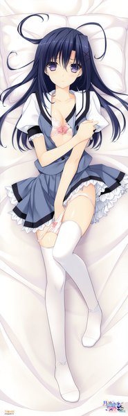 Anime picture 2280x7391 with tsuki ni yorisou otome no sahou ookura lumine suzuhira hiro single long hair tall image looking at viewer highres breasts blue eyes light erotic black hair hair between eyes full body dakimakura (medium) girl thighhighs underwear panties white thighhighs