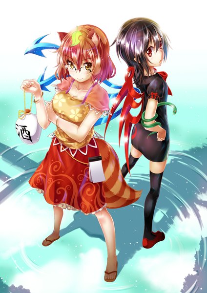 Anime picture 750x1060 with touhou houjuu nue futatsuiwa mamizou danzero (daniwae) tall image looking at viewer blush short hair open mouth black hair smile red eyes brown hair multiple girls animal ears yellow eyes looking back from above cat ears shadow