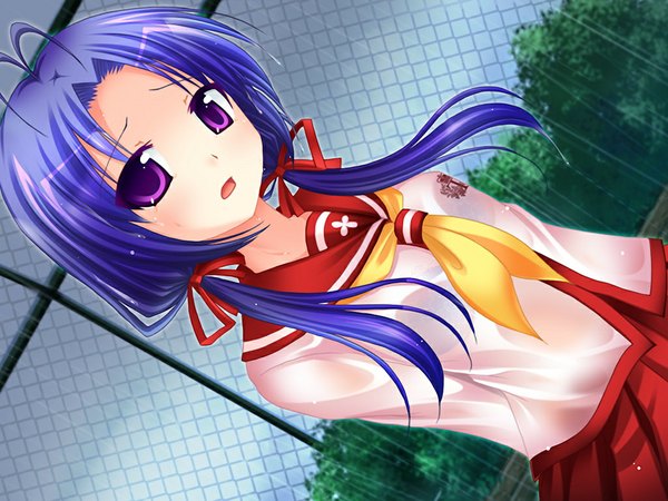 Anime picture 1024x768 with hara min!! hinanagi tsumuji fumizuki yukari long hair purple eyes blue hair game cg rain girl serafuku